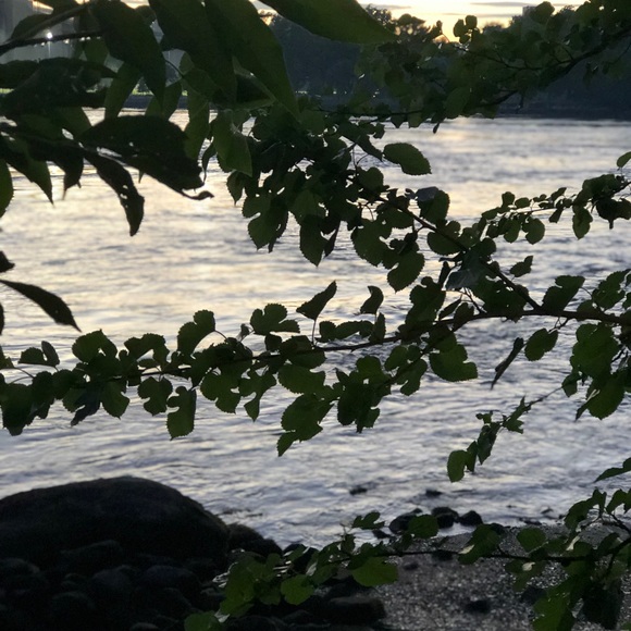 Meet your Posher, Rubiya - Picture 1 of 1